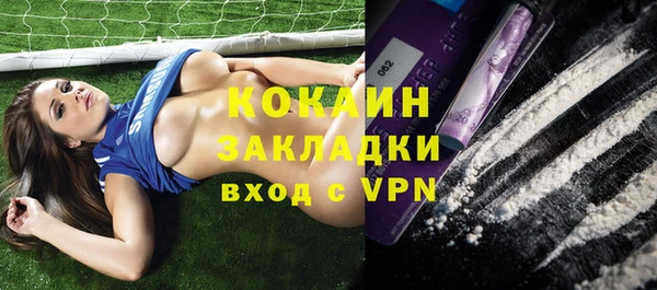 mdpv Няндома