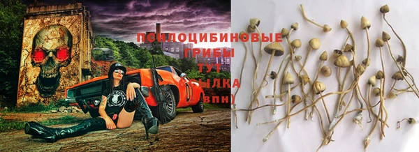mdpv Няндома